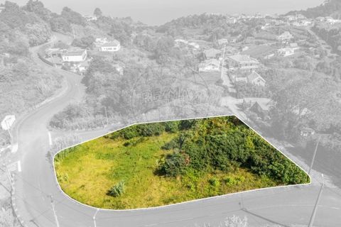 Helårsgrund i Santana, Madeira, Santana - € 63.000 | Ref: 123511177-55 - foto 11