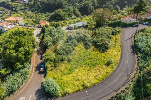 Helårsgrund i Santana, Madeira, Santana - € 63.000 | Ref: 123511177-55 - foto 12