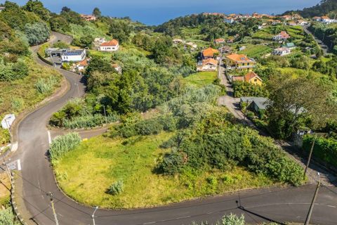 Helårsgrund i Santana, Madeira, Santana - € 63.000 | Ref: 123511177-55 - foto 13