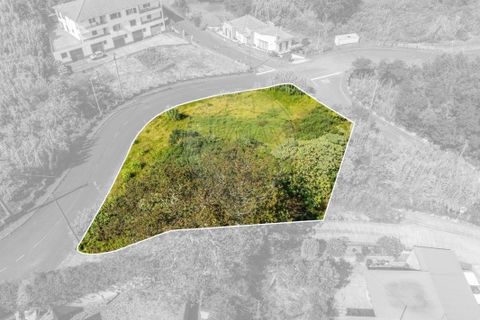 Helårsgrund i Santana, Madeira, Santana - € 63.000 | Ref: 123511177-55 - foto 14