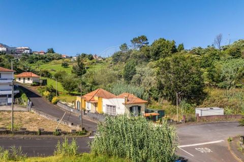 Helårsgrund i Santana, Madeira, Santana - € 63.000 | Ref: 123511177-55 - foto 16