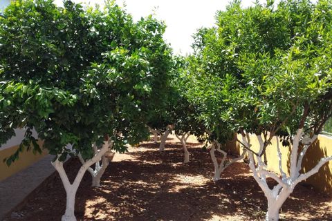 Villa a Sevilla, Sevilla, Sevilla - € 725.000 | Ref: 744794 - foto 5
