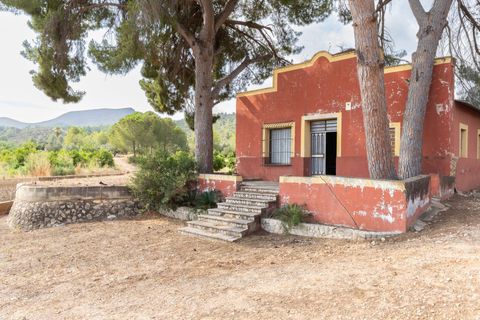 Villa a Canals, Valencia, Canals - € 425.000 | Ref: b46ff54a-354a-4652-9 - foto 2