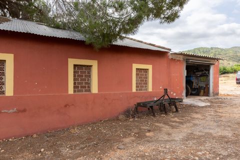 Villa a Canals, Valencia, Canals - € 425.000 | Ref: b46ff54a-354a-4652-9 - foto 14