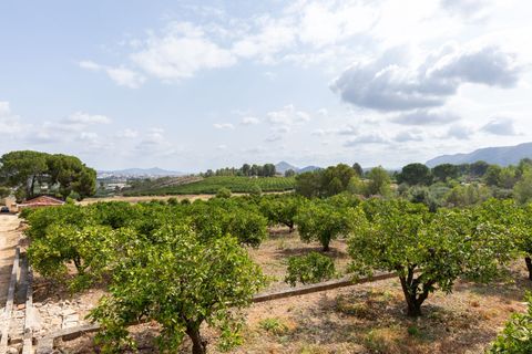 Villa a Canals, Valencia, Canals - € 425.000 | Ref: b46ff54a-354a-4652-9 - foto 23