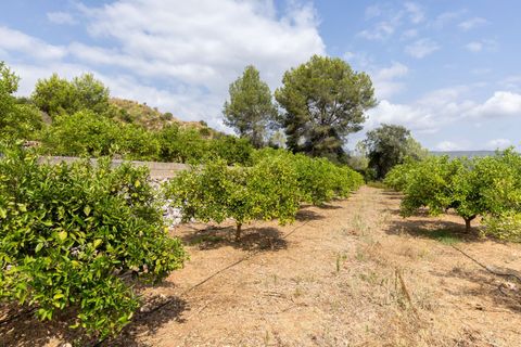 Villa a Canals, Valencia, Canals - € 425.000 | Ref: b46ff54a-354a-4652-9 - foto 24