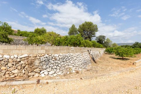 Villa a Canals, Valencia, Canals - € 425.000 | Ref: b46ff54a-354a-4652-9 - foto 27
