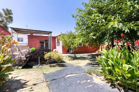 Villa a Lliria, Valencia, Lliria - € 240.000 | Ref: 5270b139-5900-4241-8 - foto 33