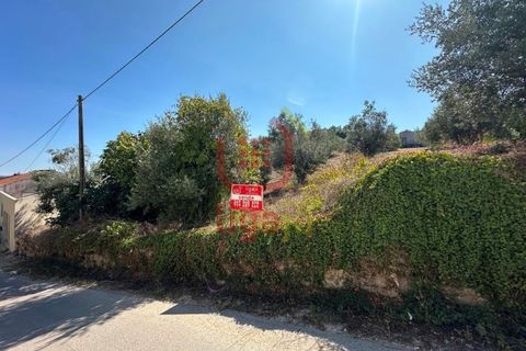 Helårsgrund i Ourem, Santarem, Ourem - € 55.000 | Ref: 1339 - foto 1