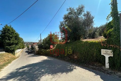 Helårsgrund i Ourem, Santarem, Ourem - € 55.000 | Ref: 1339 - foto 2