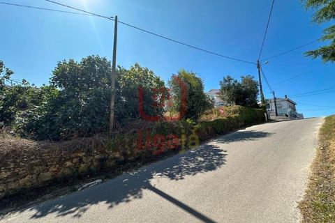 Helårsgrund i Ourem, Santarem, Ourem - € 55.000 | Ref: 1339 - foto 3