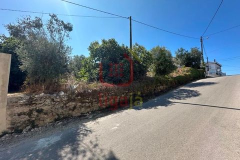 Helårsgrund i Ourem, Santarem, Ourem - € 55.000 | Ref: 1339 - foto 4