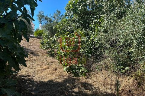 Helårsgrund i Ourem, Santarem, Ourem - € 55.000 | Ref: 1339 - foto 5