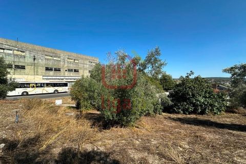 Helårsgrund i Ourem, Santarem, Ourem - € 55.000 | Ref: 1339 - foto 6