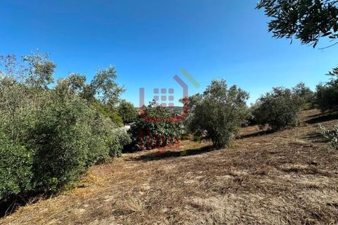 Helårsgrund i Ourem, Santarem, Ourem - € 55.000 | Ref: 1339 - foto 9