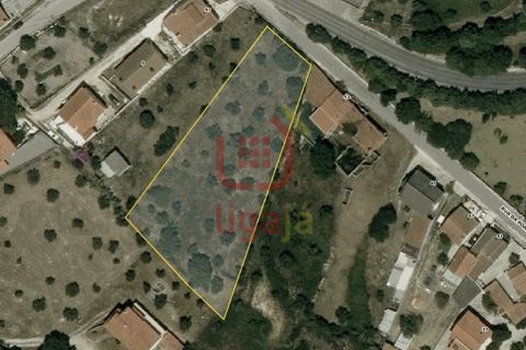 Helårsgrund i Ourem, Santarem, Ourem - € 55.000 | Ref: 1339 - foto 11