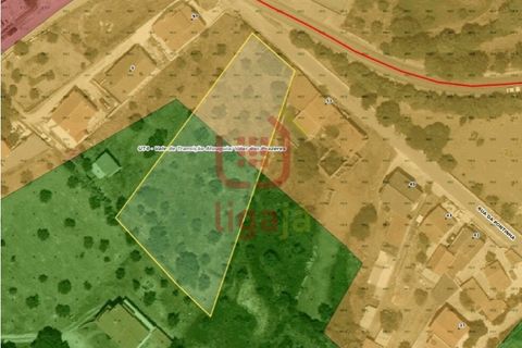 Helårsgrund i Ourem, Santarem, Ourem - € 55.000 | Ref: 1339 - foto 12