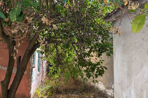 Villa i Tula, Sassari, Tula - € 69.000 | Ref: 13825 - foto 30