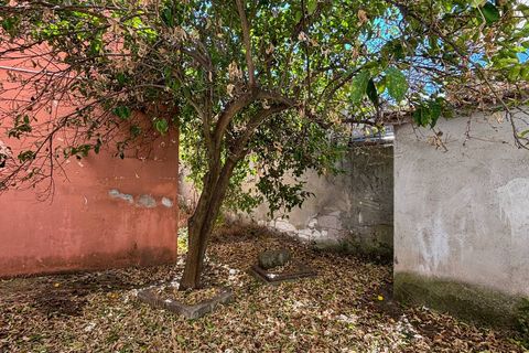 Villa i Tula, Sassari, Tula - € 69.000 | Ref: 13825 - foto 31