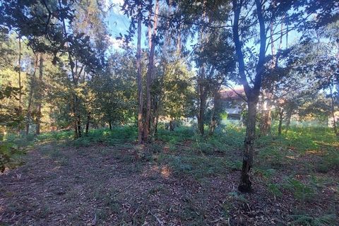 Helårsgrund i Amares, Braga, Amares - € 156.500 | Ref: 212080 - foto 3