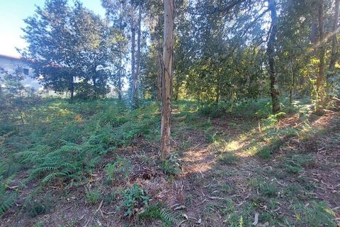 Helårsgrund i Amares, Braga, Amares - € 156.500 | Ref: 212080 - foto 4
