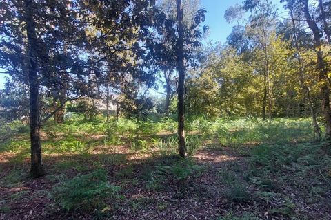 Helårsgrund i Amares, Braga, Amares - € 156.500 | Ref: 212080 - foto 5
