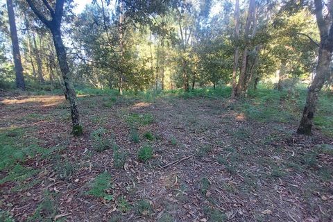 Helårsgrund i Amares, Braga, Amares - € 156.500 | Ref: 212080 - foto 6