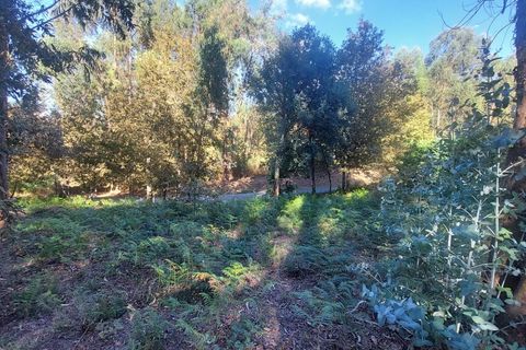 Helårsgrund i Amares, Braga, Amares - € 156.500 | Ref: 212080 - foto 8
