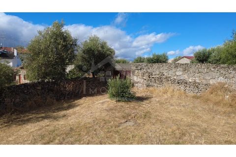 Terra a Alcains, Castelo Branco, Alcains - € 160.000 | Ref: 200 - foto 5