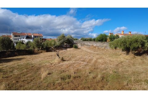 Terra a Alcains, Castelo Branco, Alcains - € 160.000 | Ref: 200 - foto 6