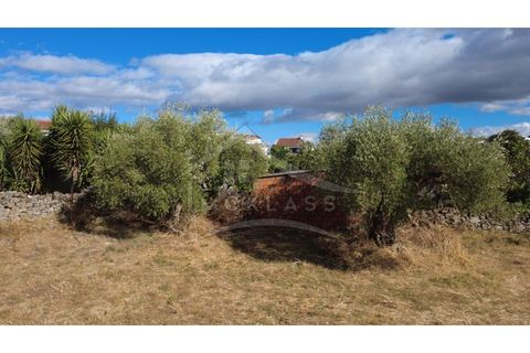 Terra a Alcains, Castelo Branco, Alcains - € 160.000 | Ref: 200 - foto 7