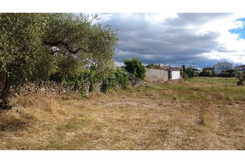 Terra a Alcains, Castelo Branco, Alcains - € 160.000 | Ref: 200 - foto 8