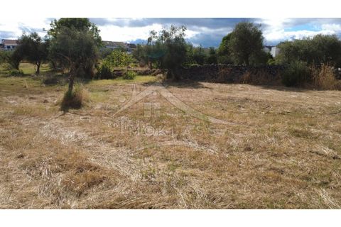 Terra a Alcains, Castelo Branco, Alcains - € 160.000 | Ref: 200 - foto 9