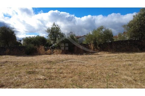 Terra a Alcains, Castelo Branco, Alcains - € 160.000 | Ref: 200 - foto 10