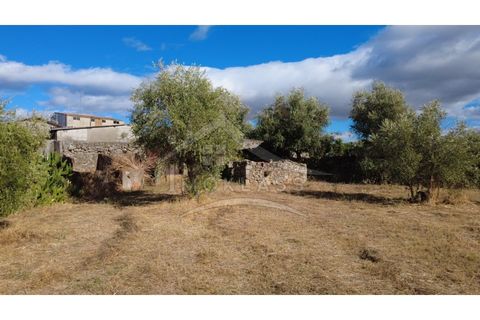 Terra a Alcains, Castelo Branco, Alcains - € 160.000 | Ref: 200 - foto 11