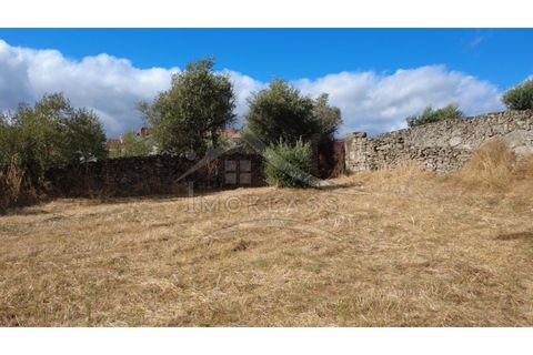 Terra a Alcains, Castelo Branco, Alcains - € 160.000 | Ref: 200 - foto 12