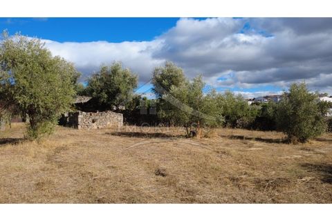 Terra a Alcains, Castelo Branco, Alcains - € 160.000 | Ref: 200 - foto 13