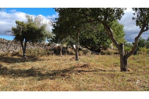 Terra a Alcains, Castelo Branco, Alcains - € 160.000 | Ref: 200 - foto 16