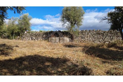 Terra a Alcains, Castelo Branco, Alcains - € 160.000 | Ref: 200 - foto 17