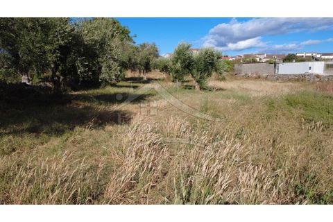 Terra a Alcains, Castelo Branco, Alcains - € 160.000 | Ref: 200 - foto 18