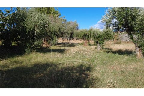 Terra a Alcains, Castelo Branco, Alcains - € 160.000 | Ref: 200 - foto 19