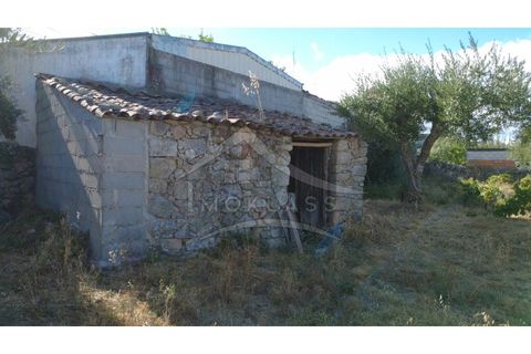 Terra a Alcains, Castelo Branco, Alcains - € 160.000 | Ref: 200 - foto 21