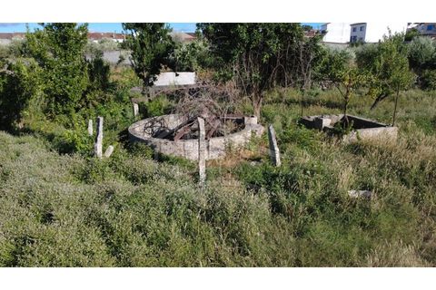 Terra a Alcains, Castelo Branco, Alcains - € 160.000 | Ref: 200 - foto 25