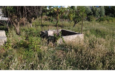 Terra a Alcains, Castelo Branco, Alcains - € 160.000 | Ref: 200 - foto 27