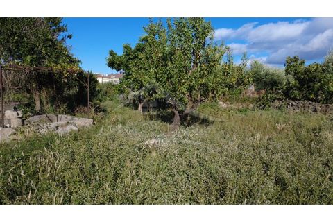 Terra a Alcains, Castelo Branco, Alcains - € 160.000 | Ref: 200 - foto 29