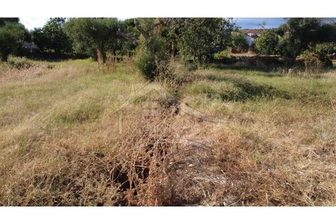 Terra a Alcains, Castelo Branco, Alcains - € 160.000 | Ref: 200 - foto 30