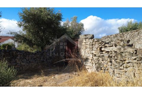 Terra a Alcains, Castelo Branco, Alcains - € 160.000 | Ref: 200 - foto 32
