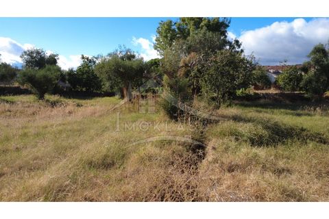Terra a Alcains, Castelo Branco, Alcains - € 160.000 | Ref: 200 - foto 34