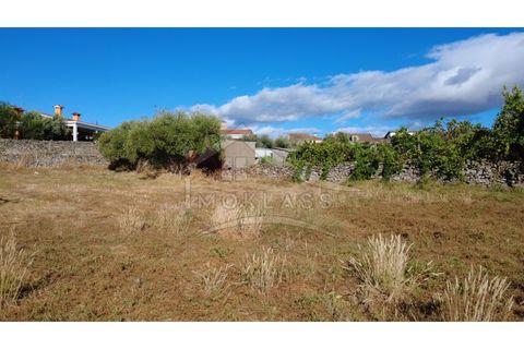 Terra a Alcains, Castelo Branco, Alcains - € 160.000 | Ref: 200 - foto 35