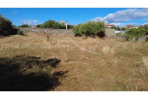 Terra a Alcains, Castelo Branco, Alcains - € 160.000 | Ref: 200 - foto 37